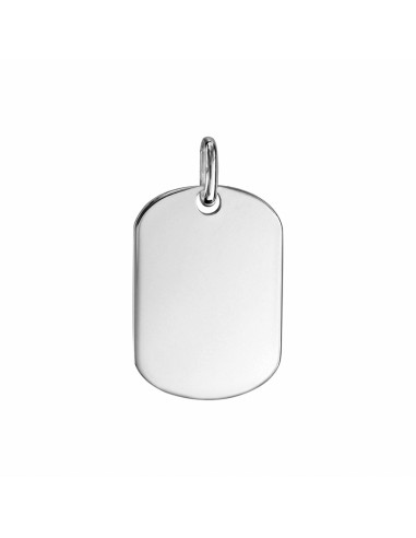 Plaque GI prestige argent petit...